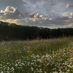 입춘-스틸하트클럽
