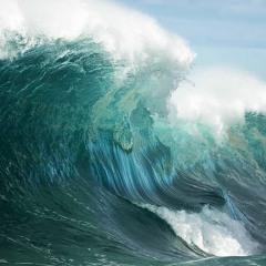 Xpander - Pacific Wave