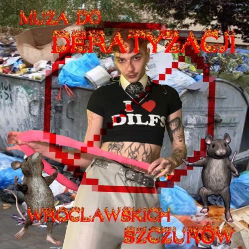MUZA DO DERATYZACJI WROCŁAWSKICH SZCZURÓW 🐀🚫