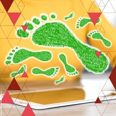 Digitale voetafdruk | Bernard van Gastel, Elize de Mul, Rianne Riemens