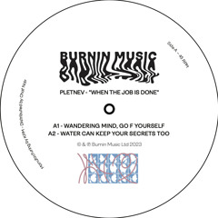 DC Promo Tracks: Pletnev "Water can keep your secrets too"