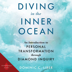 Driving in the Inner Ocean audiobook sample
