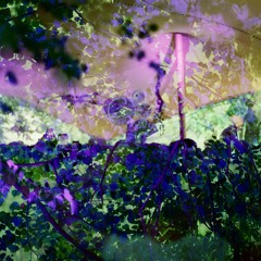 Francesco Farfa  - Live at Butik Festival 2025