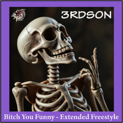 Bitch You Funny