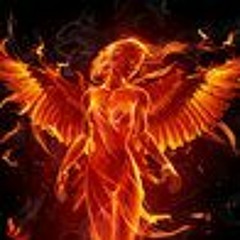 Phoenix Rising