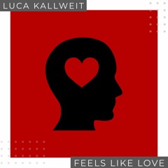 Feels Like Love (Original Mix)