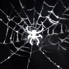 Jason Paris - Close To You