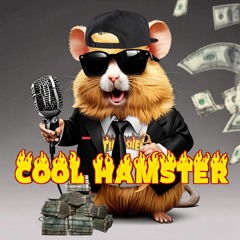 COOL HAMSTER