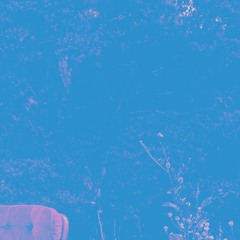 Premiere: GREETINGS - You're Such A Dream (Wretla Remix) [My Love My Love]