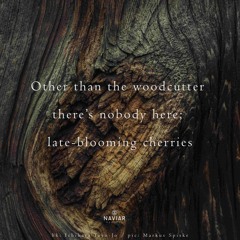 Late Blooming (naviarhaiku553)
