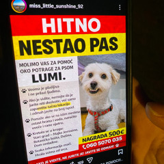 Courtesy of Choice w/ Sacha Mambo: 25th February '26