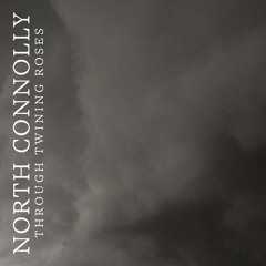 Through Twining Roses