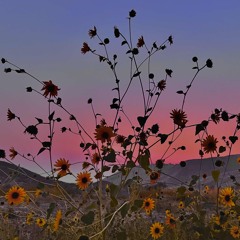 daydreamin always (v.1)