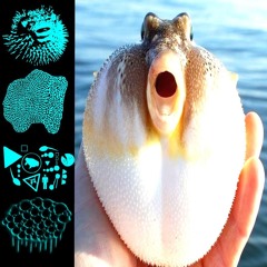 "Puffer Fish Putridity" Ft. PxPxF