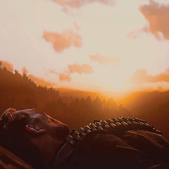 Billie eilish - lovely - instrumental (slowed down).mp3