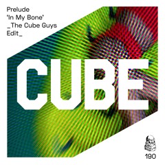 Prelude 'In My Bone' (The Cube Guys Edit) - OUT NOW !!!