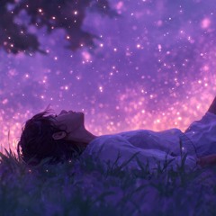 Lavender Nights