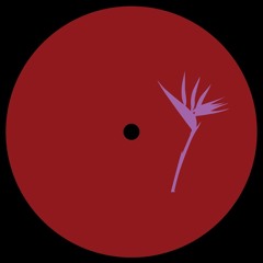 Premiere : RQZ - 11 To Twilight (PRP014)