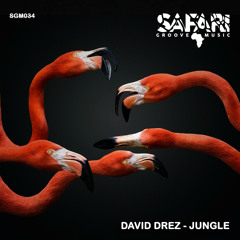 David Drez - We Got (Original Mix)