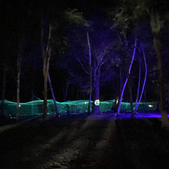 Purple_Pills_(preview)