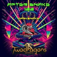 Darksnake Special Live Techno "After Snake 133" Radio TwoDragons 24.12.2023