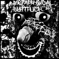 METAPHYSICAL BUTTFUCK