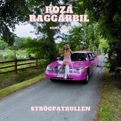 ROZA RAGGARBIL (Damp Remix)