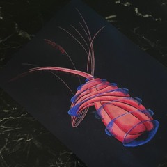 304. - The Illusion That Is Consciousness -