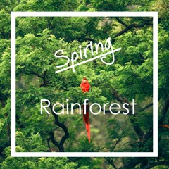 Spiring - Rainforest | BUY = FREE DOWNLOAD