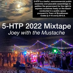 5-HTP 2022 Mixtape | High Energy Disco