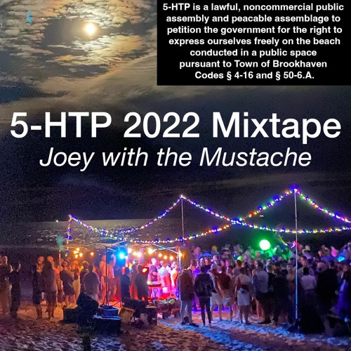5-HTP 2022 Mixtape | High Energy Disco