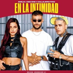 Emilia, Callejero Fino, Big One - En La Intimidad (TOMY REMIX)