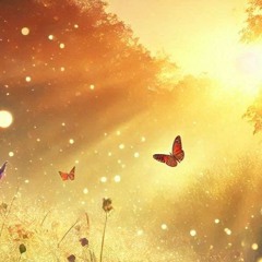 Shimmer Sunrise