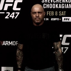 Joe Rogan & David Goggins - "The fear is never reaching your potential"