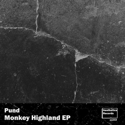 Pund - Monkey Highland(Extended Version)[Aesthetics Records]