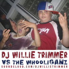 DJ Willie Trimmer - Put Your Hands Up