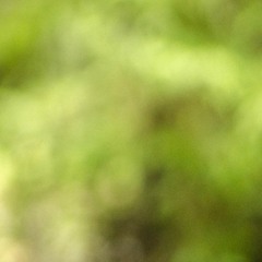 Gwerkmix 2024 Mar 23