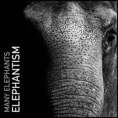 Elephantism - End To End Album Mix - Out 1st May 2020