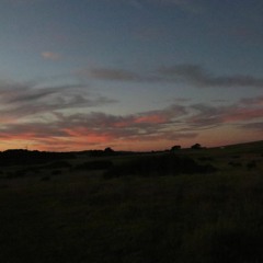 ☆More Money☆ [Yxng Demon]