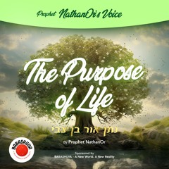 Podcasts From Heaven | 'Prophet NathanOr's Voice' - The Purpose Of Life {S5 E5}