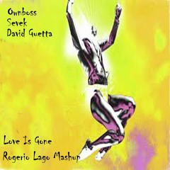Ownboss, Sevek Vs David Guetta - Love Is Gone (Rogerio Lago MashUp)