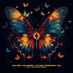 Air (SP), Valaries - Flying Towards You (Miroshin Remix) [Journey of the Soul]
