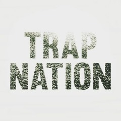 [2014] trap nation mashup (tropkillaz, miley cyrus, snoop dogg, yellow claw)