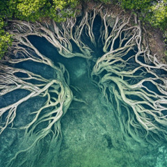 Our Roots Run Dub [Dominique Fils-Aimé Remix]