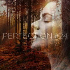 PERFECTION #24