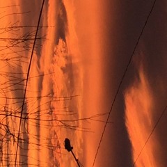 Playboi Carti - Freestyle - (Remix)