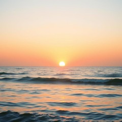 Morning Glory