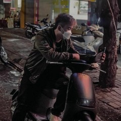 VIỆT MIX KIẾP VE SẦU