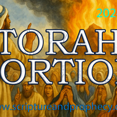 Warnings Against Abominable Practices - Torah Portion - Shoftim: (Deuteronomy 16:18–21:9)