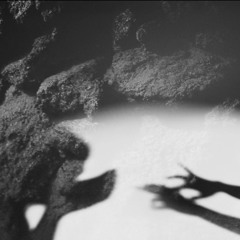 The Murmur
